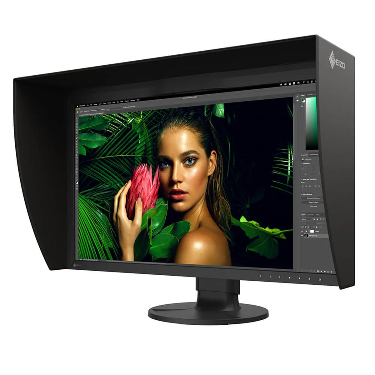 Eizo ColorEdge CG2700S