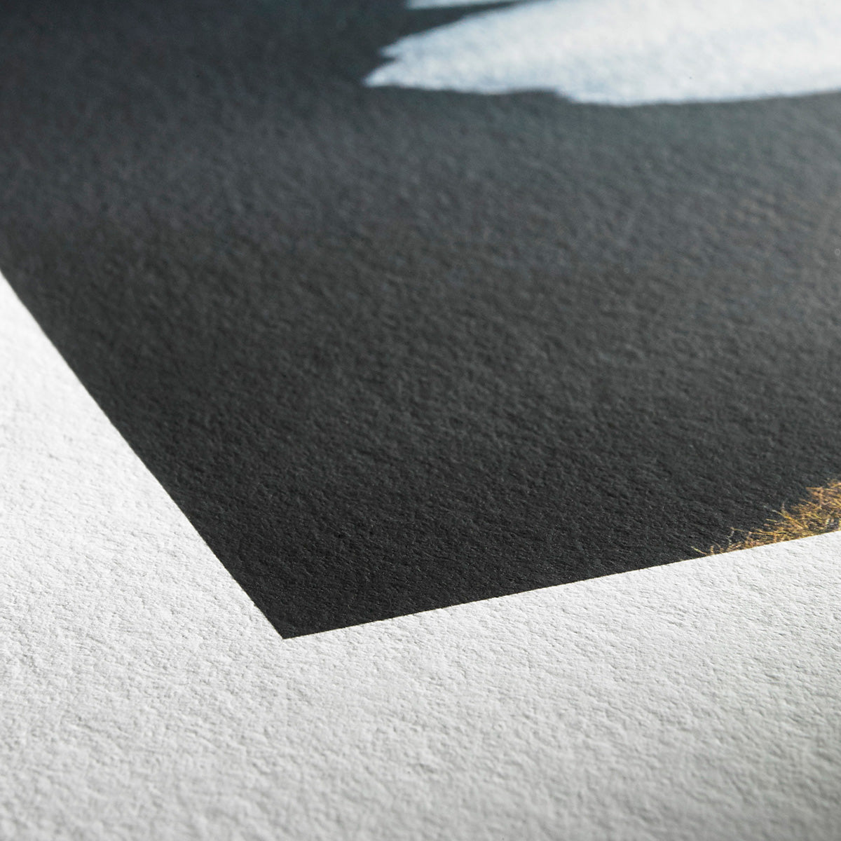 Hahnemühle Photo Rag Bright White 310g